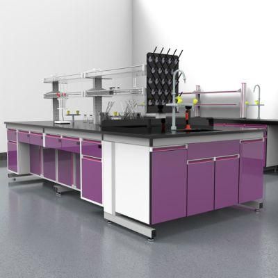 The Newest Biological Steel Laboratory Bench Workstation, The Newest School Steel Lab Furniture with Linners/