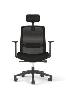 Customized New Office Chairs Ergonomic Chair for Staff Training