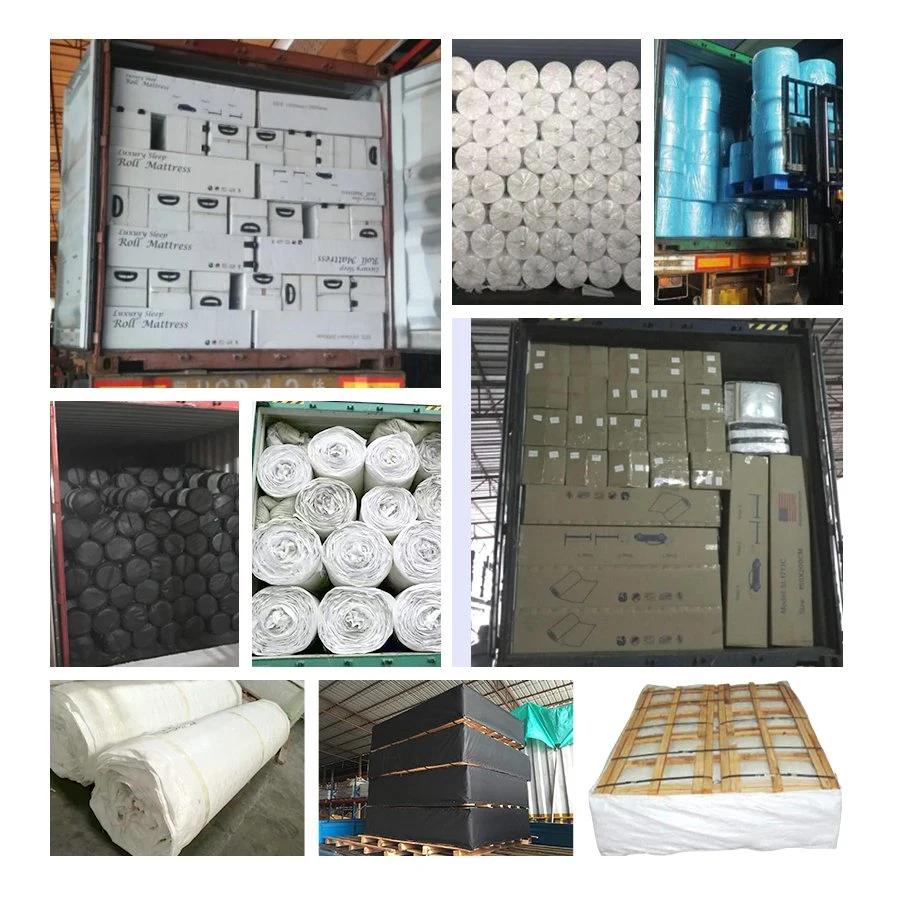 Customized School Dreamleader/OEM Compress and Roll in Carton Box Modern Bedroom Furniture Beds OEM Mattress