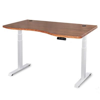 Professional Ergonomic Office Home Sit Standing Desk Stand up Desk