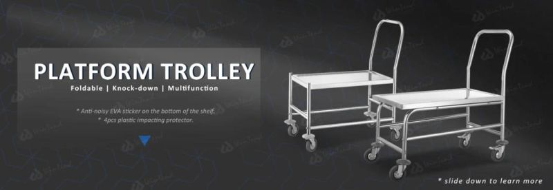 Kitchen Equipment Heavy Duty Stainless Steel Platform Trolley