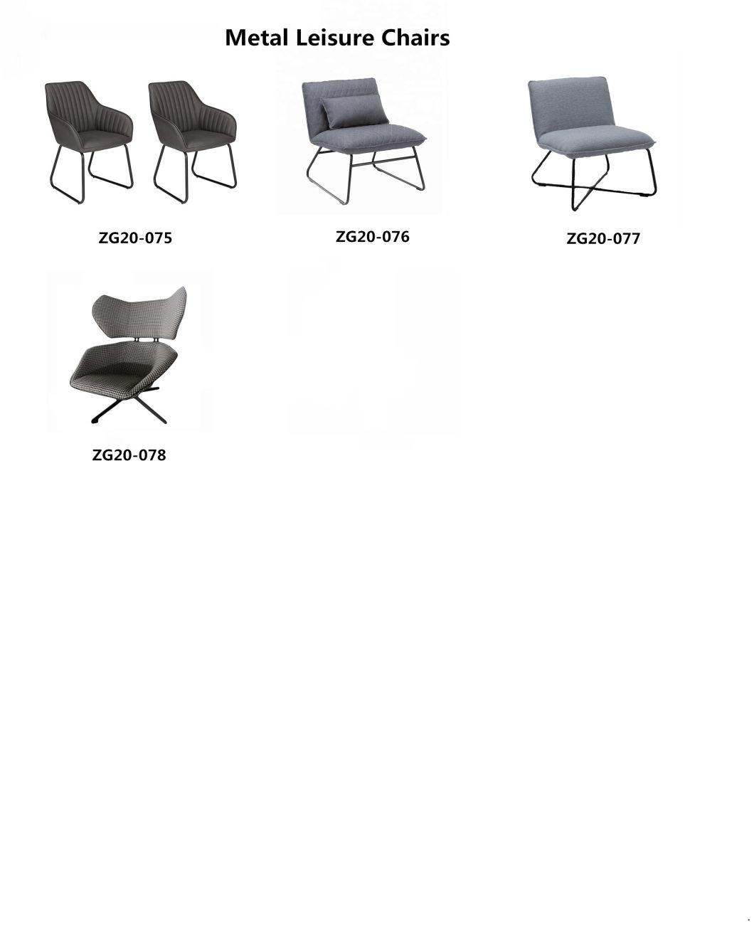Modern Metal Lounge Leisure Living Room Home Furniture Chair (ZG20-078)