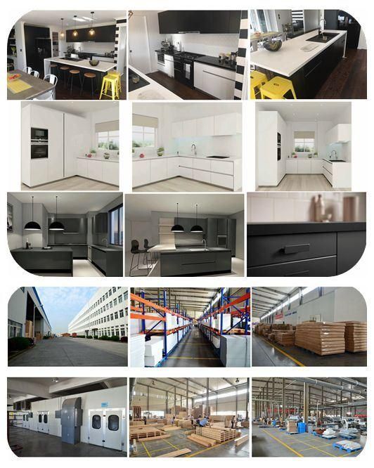 Factory Directly L Shaped Matt Lacquer Style Flat Pack Kitchen Furniture