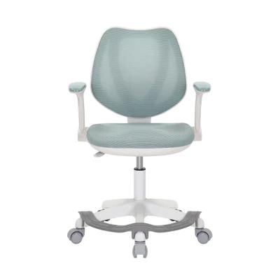 Hot Unfolded Customized Reception Training Visitor Office Chairs Executive Foshan Apple Ergonomic Mesh Chair