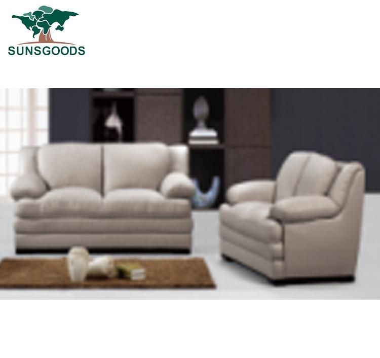 Italian Style Modern Living Room Sofa Home Furniture Luxury Genuine Leather Couch