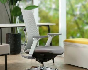 New Design Mesh Back Ergonomic Traning Chair Office Chair with High Back
