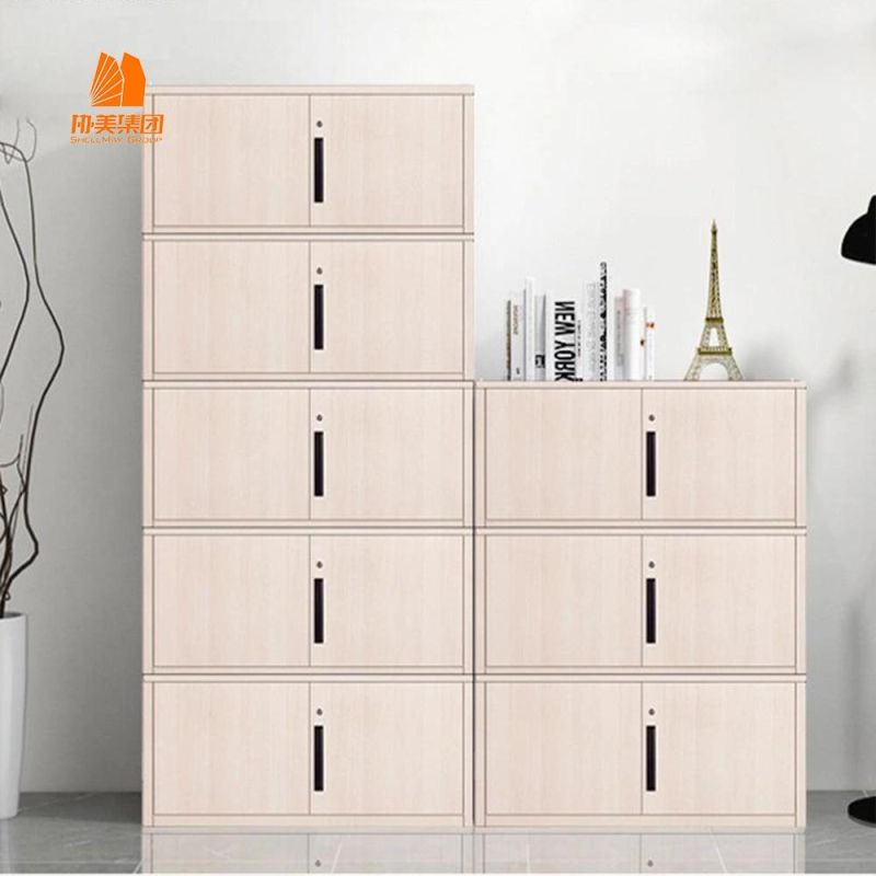 Office Swing Door Filing Cabinet, Modern Office, School Furniture.