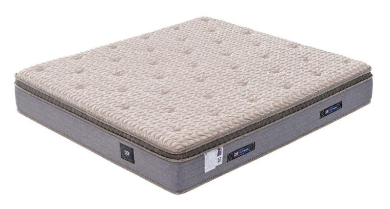Medium Soft King/Queen Size Spring Bed Mattresses Knitted Surface Wholesale 26cm Thickness High Density Foam Bedding Mattress