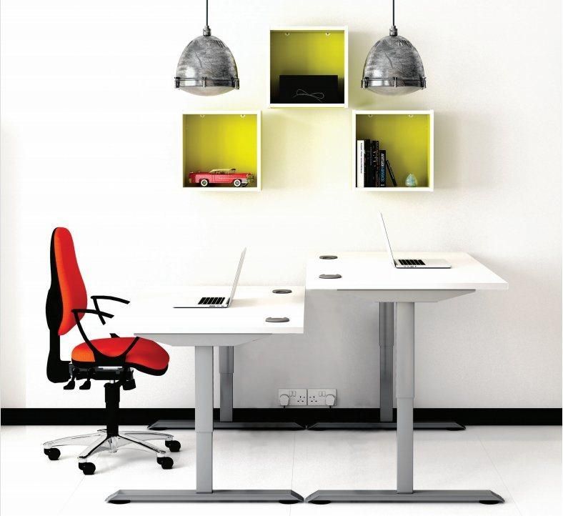 Manual Height Adjustable Desk Frame 2-Stage Double Motor Office Table
