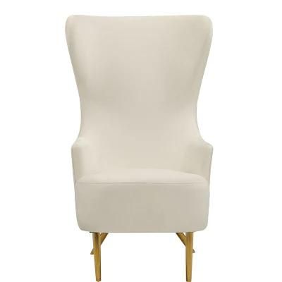 Modern Style Velvet Cushion Home Furniture Nordic Denmark Mark Polish Style Dining Chair