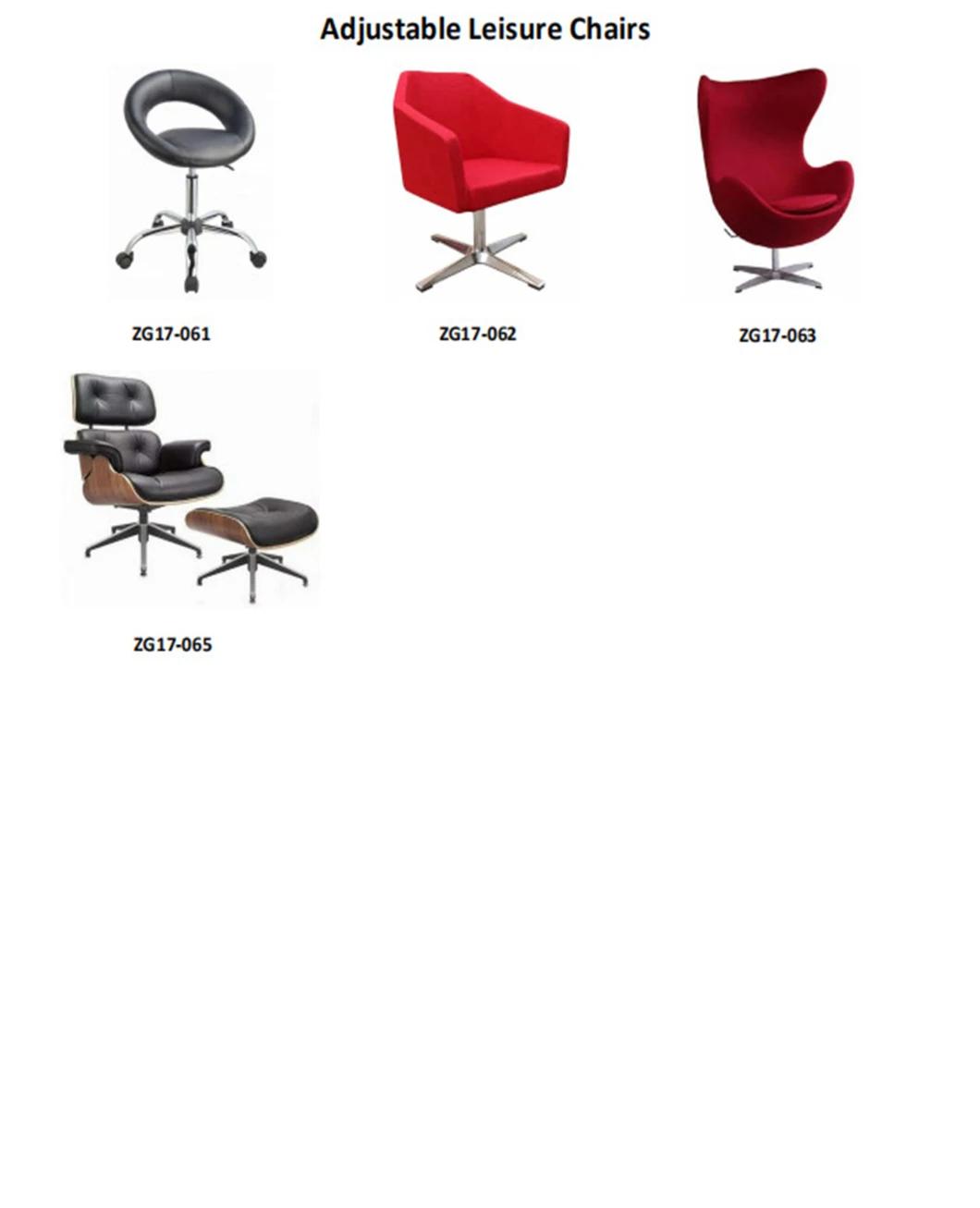 Height Adjustable Swivel Modern Dining Desk Home Office Chair (ZG17-067)