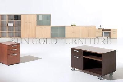 Modern Office Furniture Wooden Removable Cabinet (SZ-FC002)
