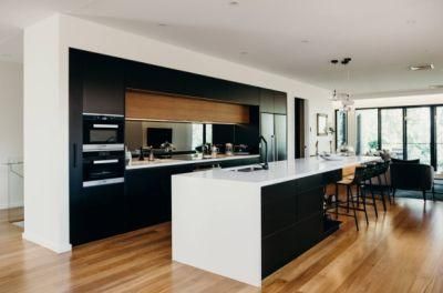 Open Kitchen Dark Black Pantry Modern Tall Cabinet Custom Wooden Kitchen Cabinets Ideas Whole House Customization