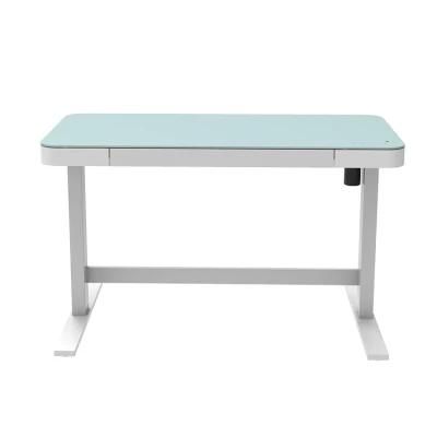 Adjustable Desk with Storage