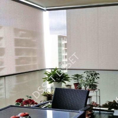 Daylight Roller Blind/Transparent Roller Blind