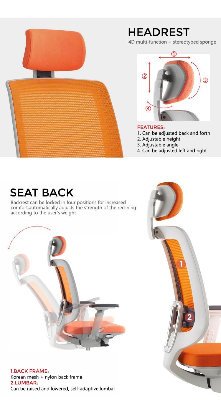High Quality Modern Fashion Mesh Foshan MID-Back Desk Office Ergonomic Swivel Chair