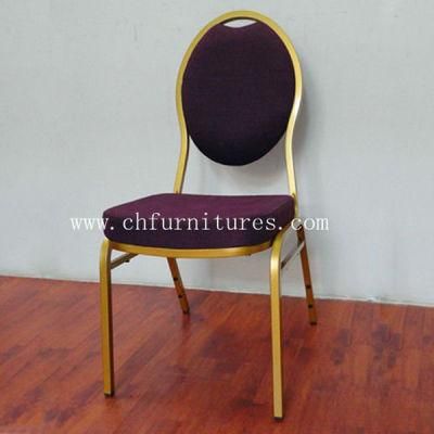 Portable Steel Dining Chair Furniture (YC-ZG14)