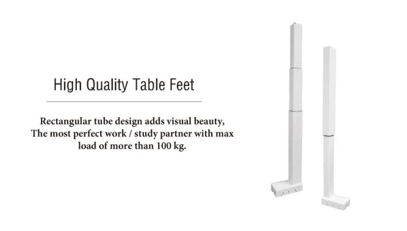 Three Tube Double Motor Double Column Electric Lifting Table