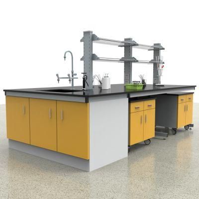 The Newest Hospital Steel Factory Mode Biological Steel Lab Furnitures with Reagent Shelf/