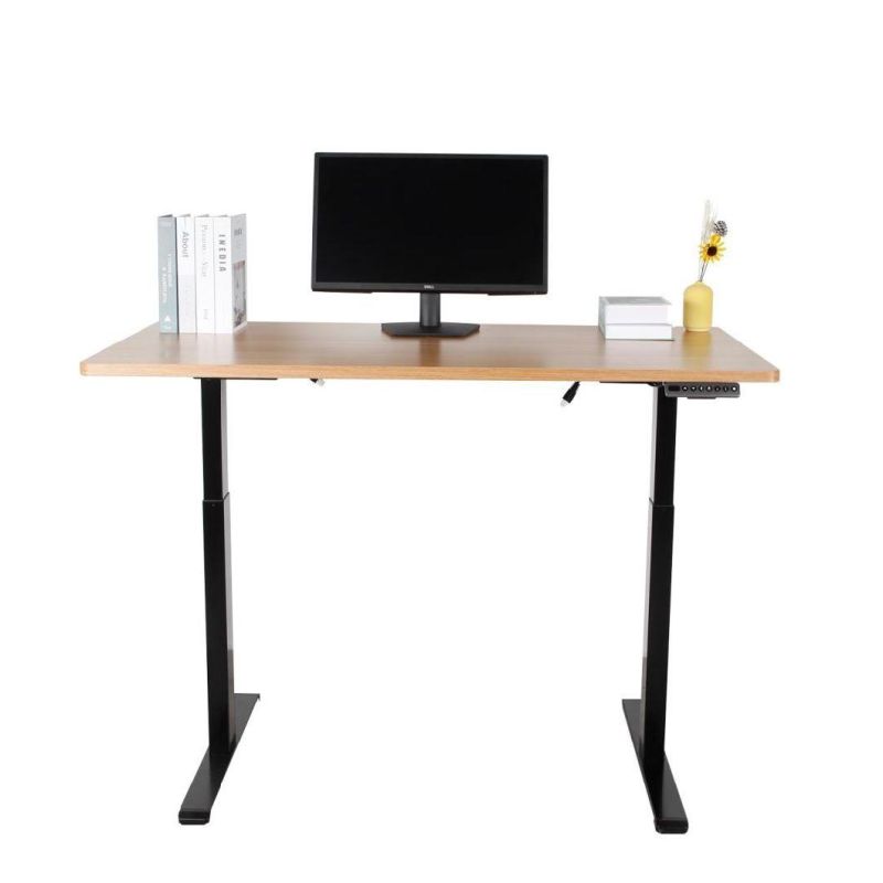 Sit Standing Height Adjustable Desk Home Furniture