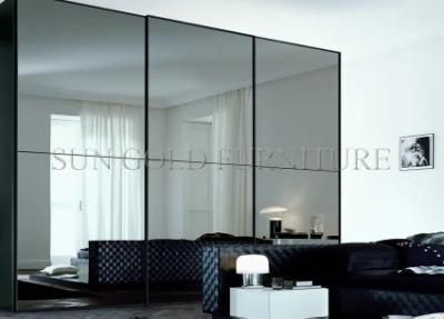 Modern Popular Big Size Mirror Sliding Door Wardrobe (SZ-SW002)