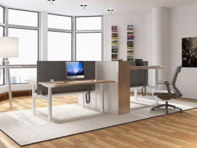 Elites Dual Motors Electric Adjustable Standing Desk Height Adjustable Desk Frame Sit Stand Desk Luxury Office Furniture