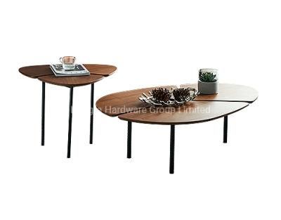 Home Furniture Oval Minimalism Style Tea Coffee Table