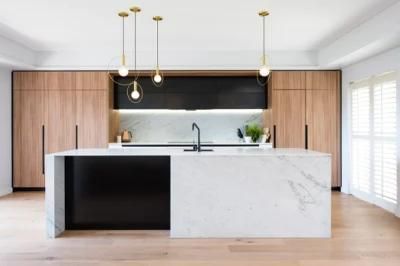 Veneer Kitchen Cabinet with Carb Certifciation with Blum Hardware Fittings