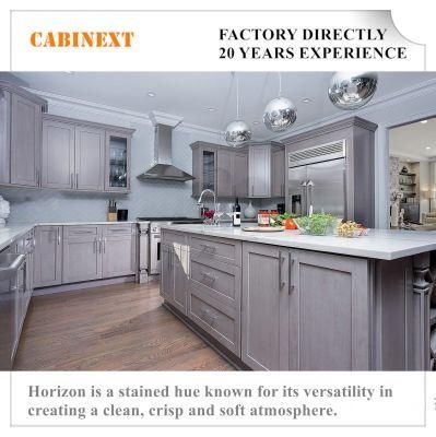Shaker / Galaxy Horizon Kitchen Cabinets Wood Home Furniture Flat Pack