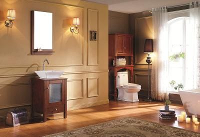 Woma Oak Wood Small Size Dtc Self Soft Hinges Bathroom Vanity (1003B)