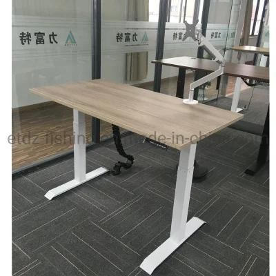 Executive Office Moden Desk Electric Height Adjustable Computer Desk