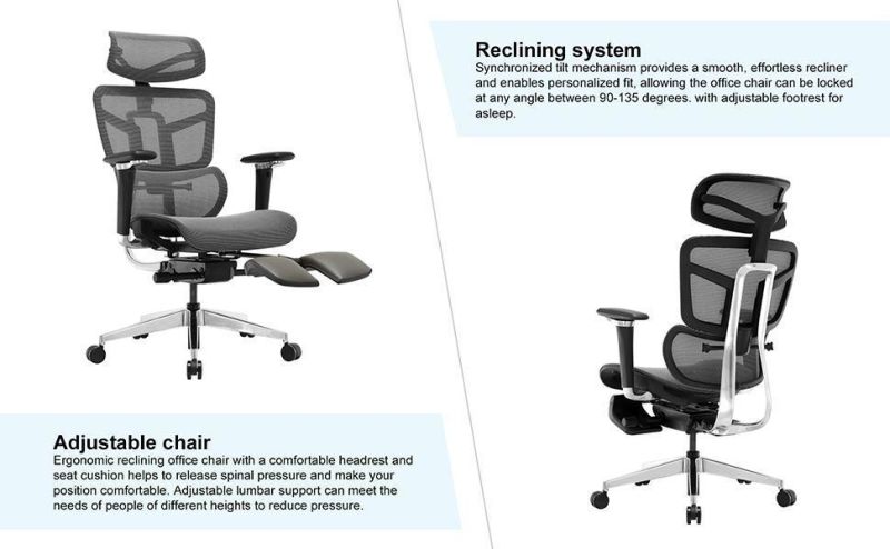 Li&Sung 10126 Evo Ergonomic Modern Adjustments Mesh Chair