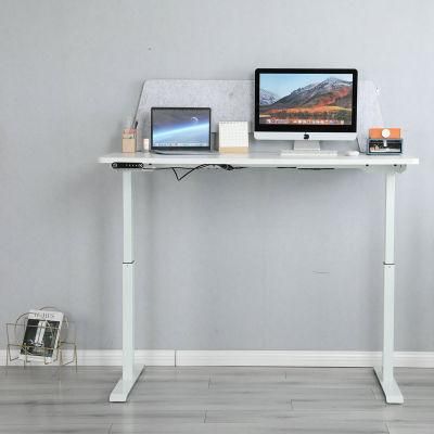 Elites Modern Factory Price Table Design Dual Motors Office Company Height Adjustable Desk