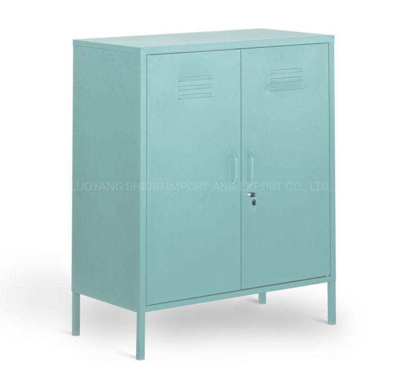 Modern 2 Doors Storage Accent Cabinets with Adjustable Shelf for Home Use