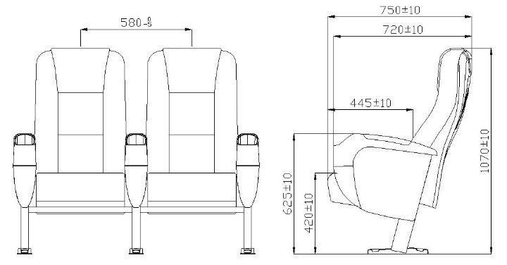 Luxury Multiplex Home Theater 2D/3D Auditorium Movie Cinema Theater Sofa