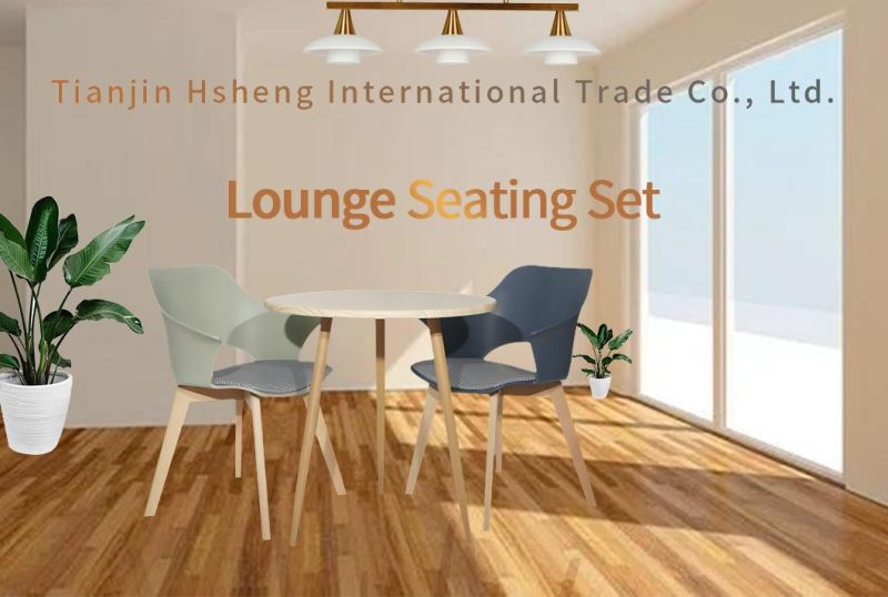 Leisure Lounge Customiable Office Table Chair Set Modern Furniture