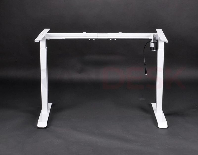 Cheap Electric Standing Desk Black White Gray