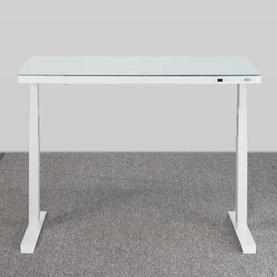 Customized Metal Stable Quietest Modern Standing up Desk
