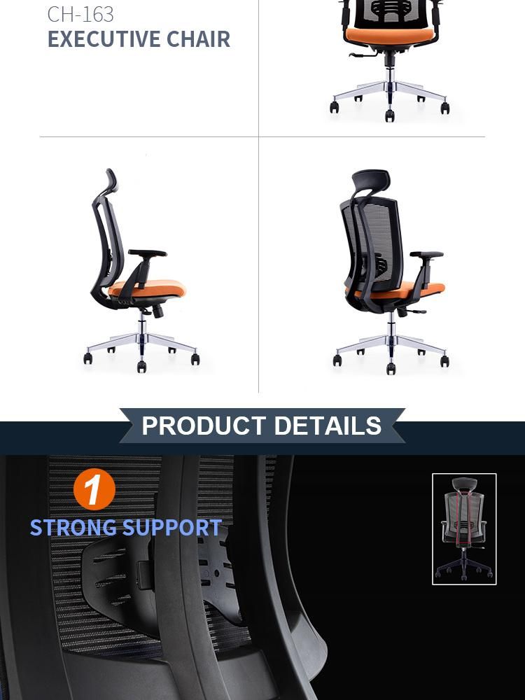 Top Quality PP Materials Modern Comfortable MID-Back Mesh Adjustable Office Chair with Headrest