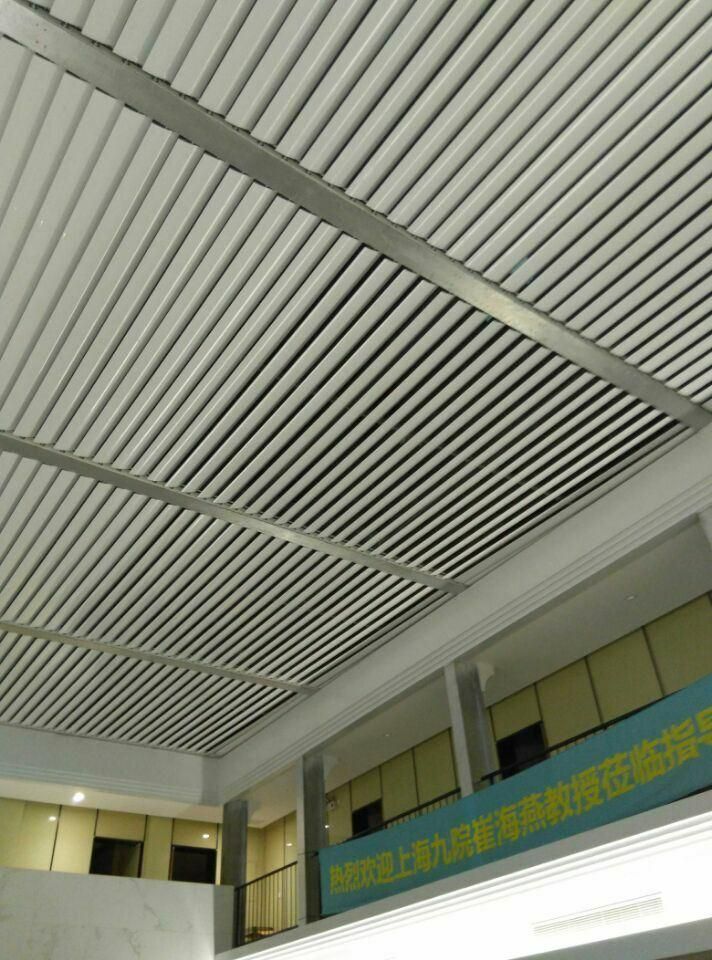 Good Quality Aluminium External Venetian Blind