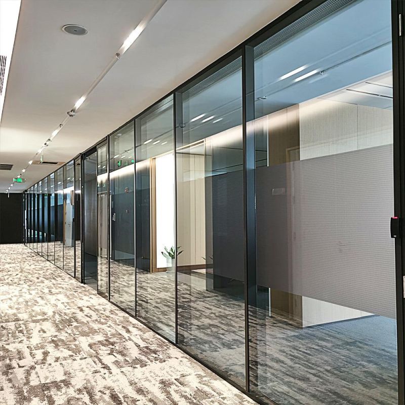 Glass Wall for Office Partition