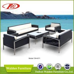 Outdoor Garden Wicker Furniture (DH-871)