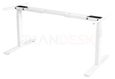 Dual Motor Sit Stand Desk