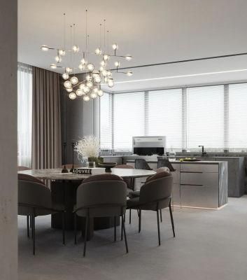 China Professional American Standard White Shaker Kitchen Cabinet Design