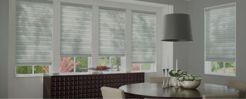 2020 Wireless Remote Controlled Manual & Motorized Eco-Friendly Green Indoor Blackout Roller Blinds