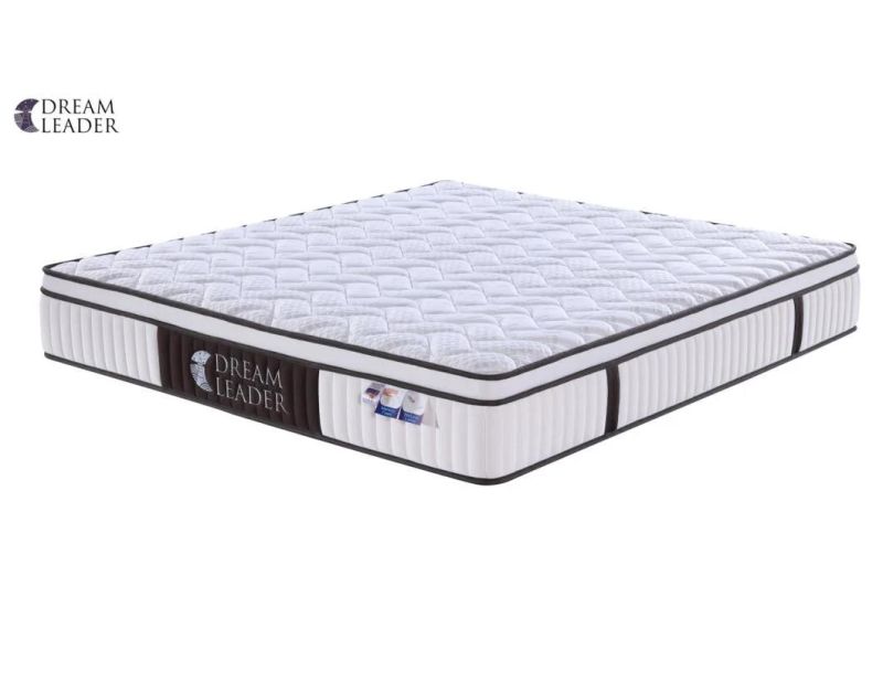 Customized School Dreamleader/OEM Compress and Roll in Carton Box Modern Bedroom Furniture Beds OEM Mattress