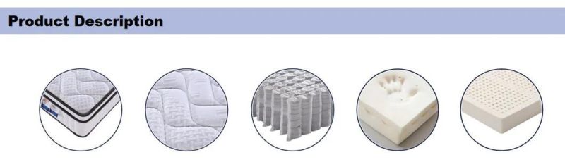 Customized School Dreamleader/OEM Compress and Roll in Carton Box Modern Bedroom Furniture Beds OEM Mattress