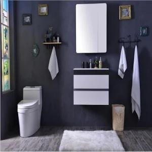 Modern Style Solid Wood Bathroom Cabinet in High Quality Sr-112