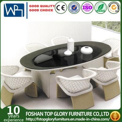 Patio Leisure Garden Outdoor Modern Rattan Dining Table Chair Furniture (TG-1222)