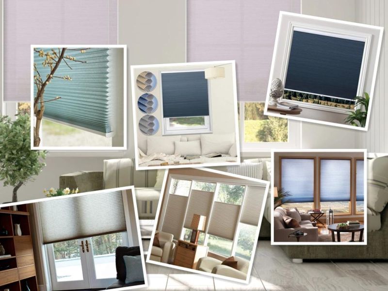 China Factory Supply 25mm Blackout Pleated Honeycomb Blinds